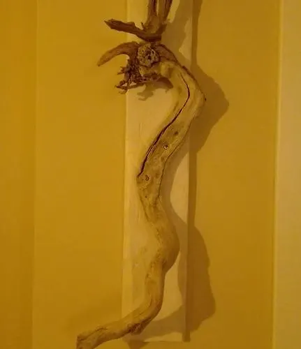 Appartamento La 'nziria Napoli